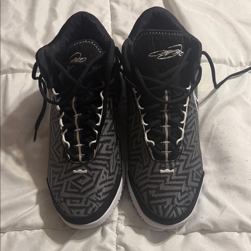 Lebron Next Gen Shoe Brand New